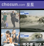 포토 뉴스젯 미리보기