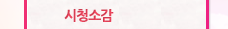시청소감