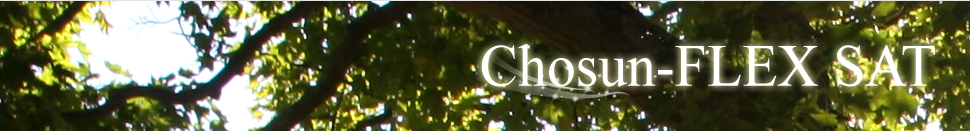 Chosun-Flex SAT