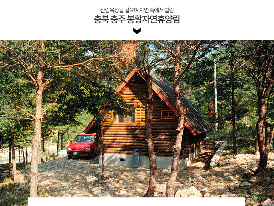 충북 충주 봉황자연휴양림