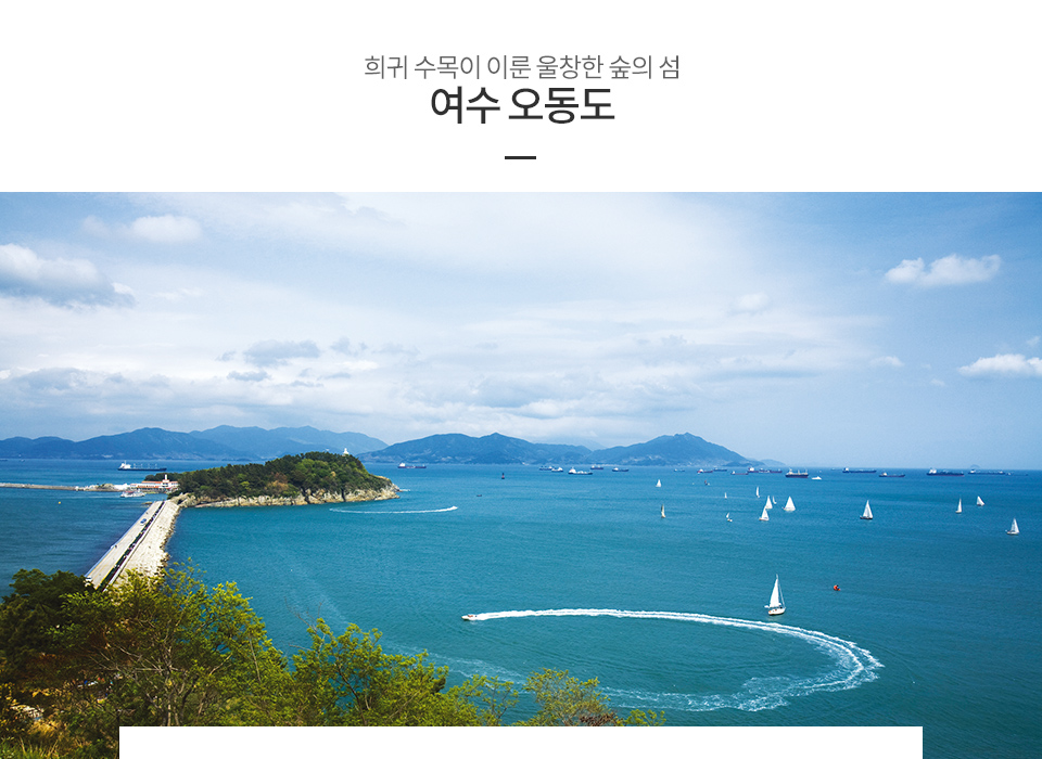 여수 오동도