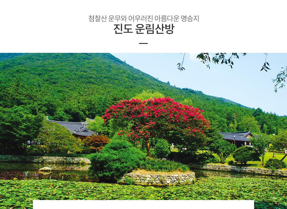 진도 운림산방