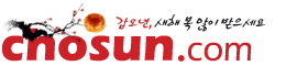 chosun.com