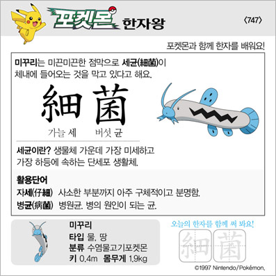 ���ϸ����ڿ�/���ڼ���