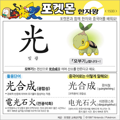 ���ϸ����ڿ�/���ڼ���