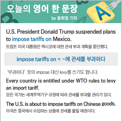 ������ ���� �� ����