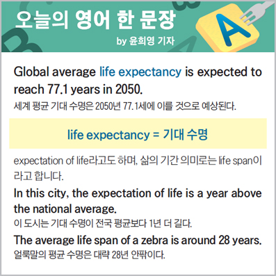 ������ ���� �� ����