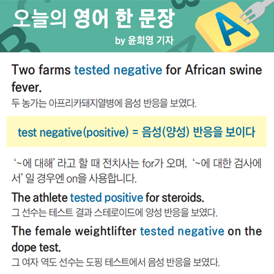 ������ ���� �� ����