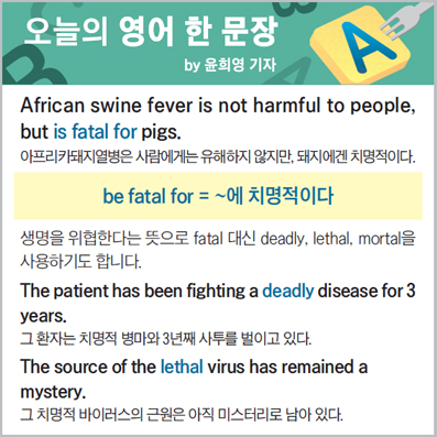 ������ ���� �� ����