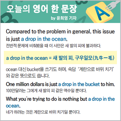 ������ ���� �� ����