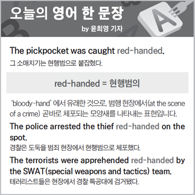 ������ ���� �� ����