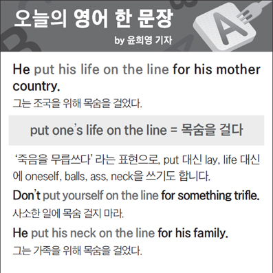 ������ ���� �� ����