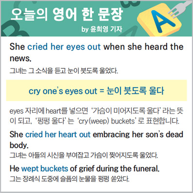 ������ ���� �� ����