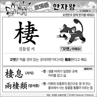 ���ϸ����ڿ�/���ڼ���