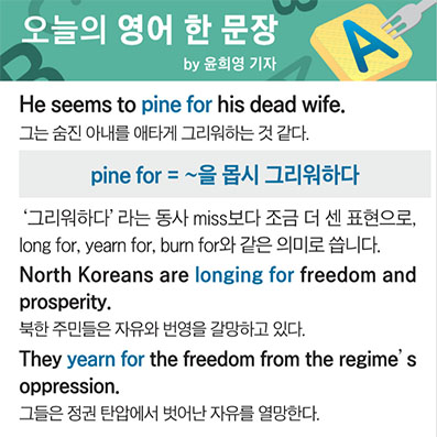 ������ ���� �� ����