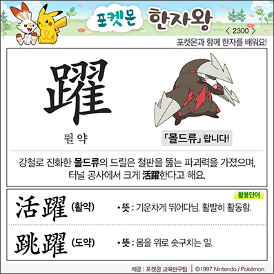 ���ϸ����ڿ�/���ڼ���