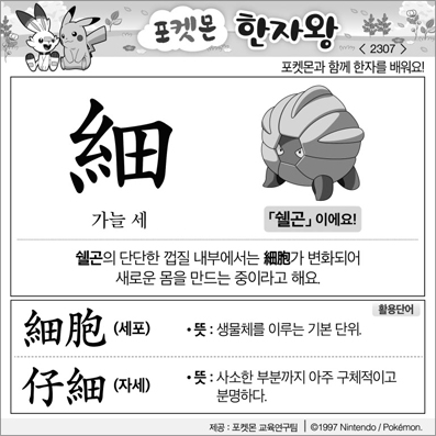 ���ϸ����ڿ�/���ڼ���