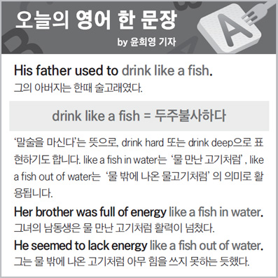 ������ ���� �� ����