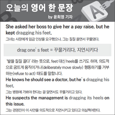 ������ ���� �� ����