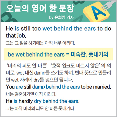 ������ ���� �� ����