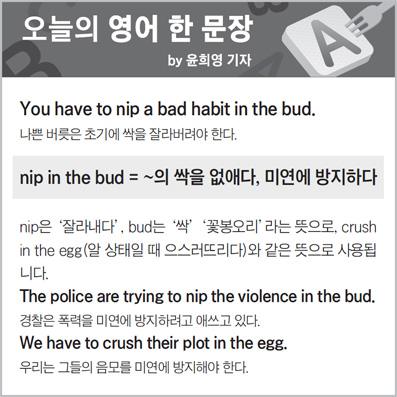 ������ ���� �� ����