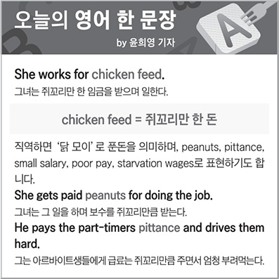 ������ ���� �� ����