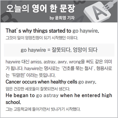 ������ ���� �� ����