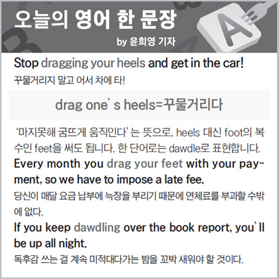 ������ ���� �� ����