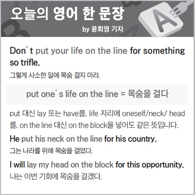 ������ ���� �� ����