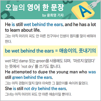 ������ ���� �� ����