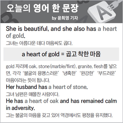 ������ ���� �� ����