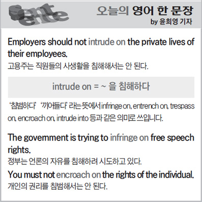 ������ ���� �� ����