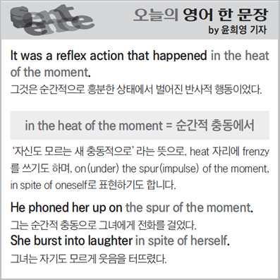 ������ ���� �� ����