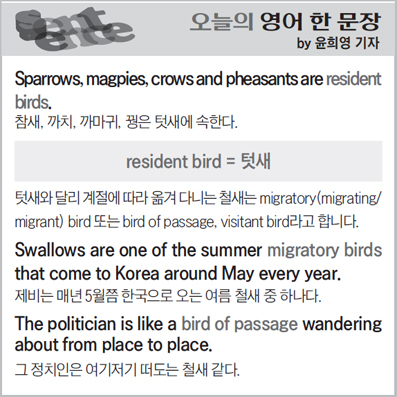 ������ ���� �� ����