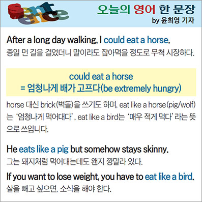 ������ ���� �� ����