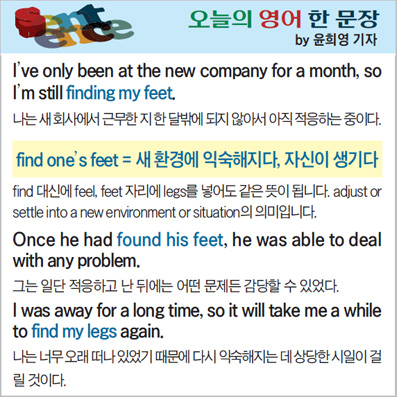 ������ ���� �� ����