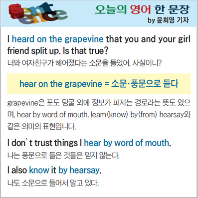 ������ ���� �� ����