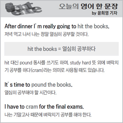 ������ ���� �� ����