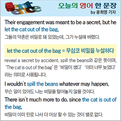 ������ ���� �� ����