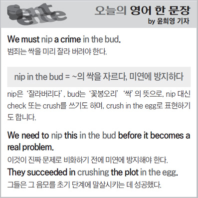 ������ ���� �� ����