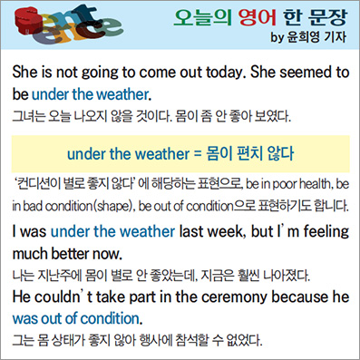 ������ ���� �� ����