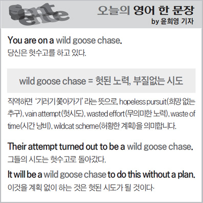 ������ ���� �� ����