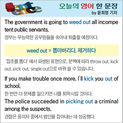 ������ ���� �� ����