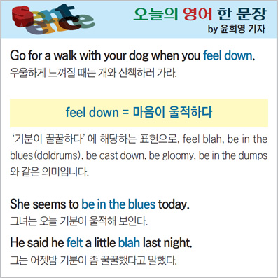 ������ ���� �� ����