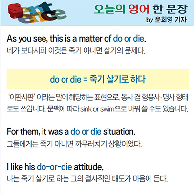 ������ ���� �� ����