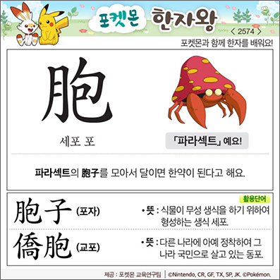 ���ϸ����ڿ�/���ڼ���