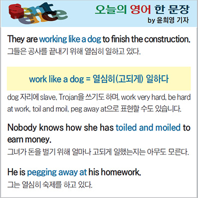 ������ ���� �� ����