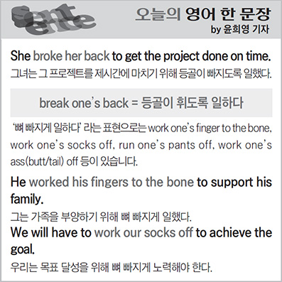 ������ ���� �� ����