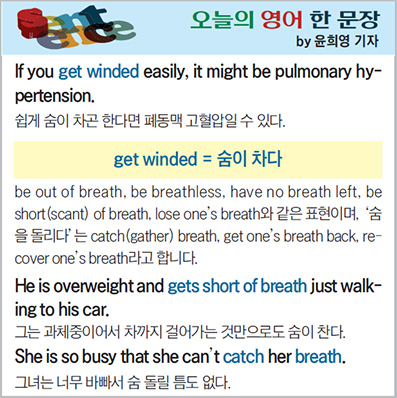 ������ ���� �� ����