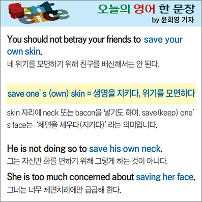 ������ ���� �� ����